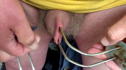 Inexperienced, toyed, sex toy