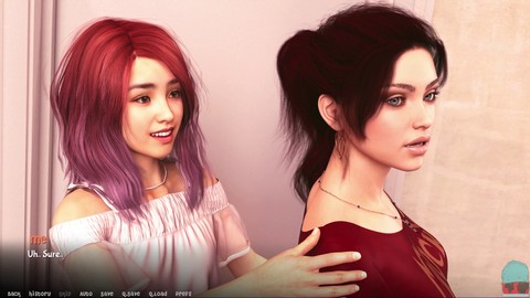 Piccola, romanzo visuale, adolescente