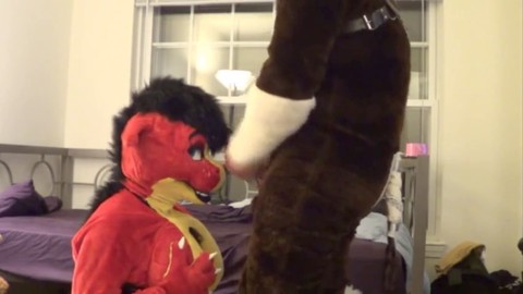 Fursuit encounter with crossdressers