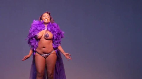 Nipple Pasties